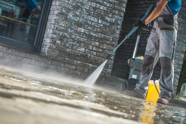 Best Window and Screen Pressure Cleaning in Auburn, MI